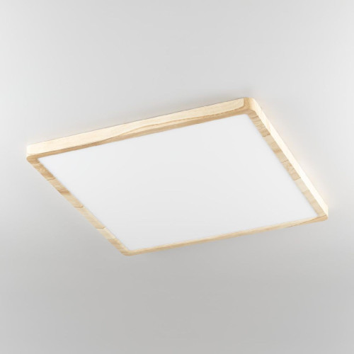 Потолочный светильник Citilux Бейсик CL738K502V