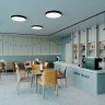 Потолочный светильник Arlight IM-RONDO-EMERGENCY-3H-R350-33W Warm3000 (BK, 120 deg, 230V) 041069