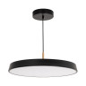 Подвесной светильник Arlight SP-ELEGANT-R500-37W Day4000 (BK, 120 deg, 230V) 033923(1)