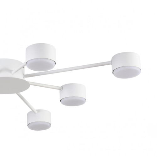 Потолочная люстра Lumion Comfi Torina 8343/8C