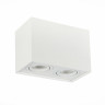 Потолочный светильник ST LUCE ST109.507.02