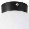 Потолочный светильник Lightstar Globo 812027
