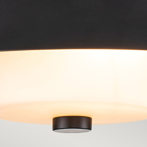 Потолочный светильник Elstead Lighting Bowtie BOWTIE-F-MB