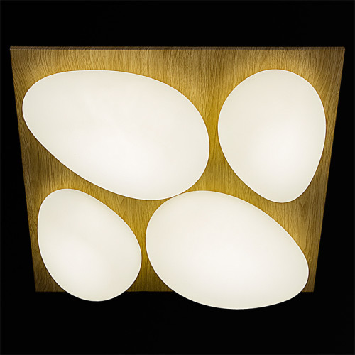 Потолочная люстра Reluce 10010-0.3-80W AEROLITE