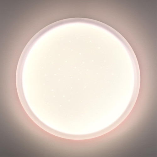 Настенно-потолочный светильник Sonex Pale Jolly 7774/DLN