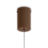 Подвесной светильник Freya Movement FR5602PL-L5BR