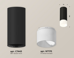 Потолочный светильник Ambrella Light Techno Spot XS7443016 (C7443, N7170)