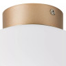 Потолочный светильник Lightstar Globo 812033