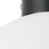 Потолочный светильник Lightstar Globo 812037