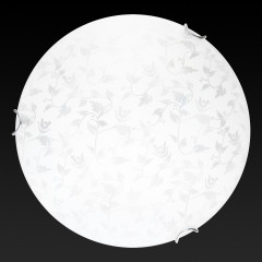 Настенно-потолочный светодиодный светильник Toplight Beatrice TL9281Y-00WH