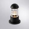 Уличный светильник Arte Lamp Coppia A5217FN-1BK