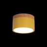Накладной светильник Loft IT Grape 10162 Yellow