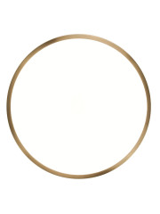 Потолочный светильник Zortes Monna ZRS.1209.10