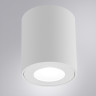 Накладной светильники Arte Lamp Tino A1469PL-1WH
