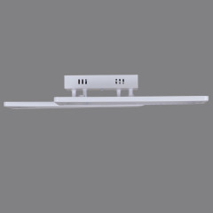 Потолочный светильник Reluce 03629-0.3-02C WH