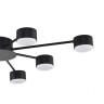 Потолочная люстра Lumion Comfi Torina 8344/8C
