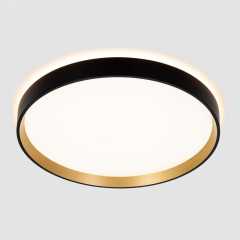 Потолочный светильник Citilux Etalon CL750321R