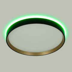 Потолочный светильник Citilux Etalon CL750321R