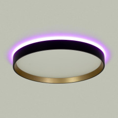 Потолочный светильник Citilux Etalon CL750321R