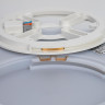 Потолочный светильник Citilux Etalon CL750321R