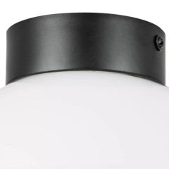 Потолочный светильник Lightstar Globo 812117