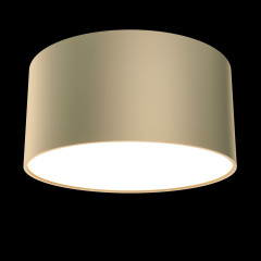 Потолочный светильник Maytoni Technical Zon C032CL-L12MG4K