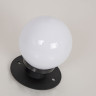 Уличный светильник Favourite Ballito 4069-1T