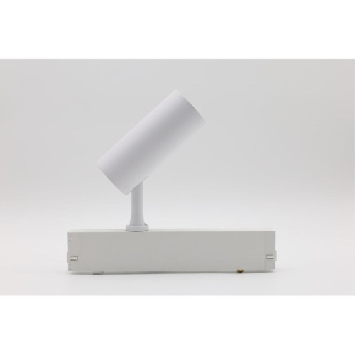 Трековый магнитный светильник Aployt Magnetic track 220 APL.0205.10.10