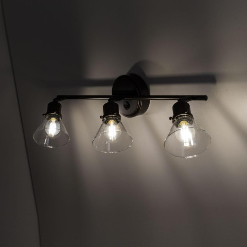 Спот Citilux Бисмарк CL564531