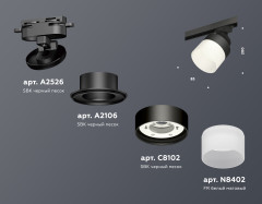 Трековый светильник Ambrella Light Track System XT8102021 (A2526, A2106, C8102, N8402)