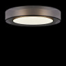 Потолочный светильник Freya Zoticus FR6005CL-L48G