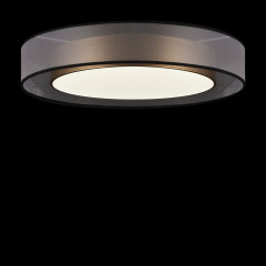 Потолочный светильник Freya Zoticus FR6005CL-L48G