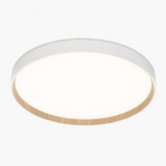 Потолочный светильник Citilux Etalon CL750400R