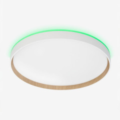 Потолочный светильник Citilux Etalon CL750400R