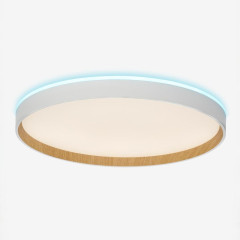 Потолочный светильник Citilux Etalon CL750400R