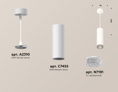 Подвесной светильник Ambrella Light Techno Spot XP7455001 (A2310, C7455, N7191)