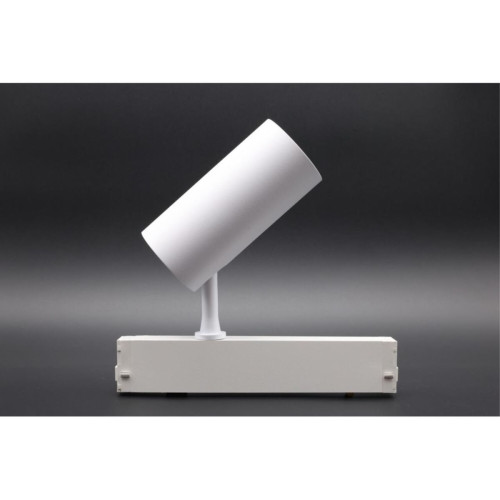 Трековый магнитный светильник Aployt Magnetic track 220 APL.0205.10.20