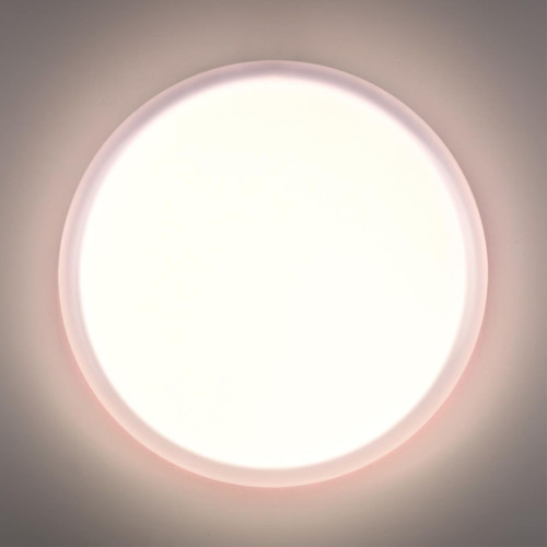 Настенно-потолочный светильник Sonex Pale Jolly 7776/ELN