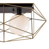Потолочный светильник MX8525-2A gold/black