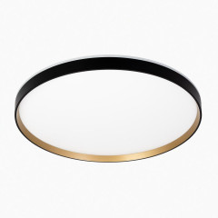 Потолочный светильник Citilux Etalon CL750501R