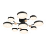 Потолочная люстра LED4U L3201-780 BK