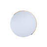 Потолочный светильник Loft IT AXEL 10004/36 White