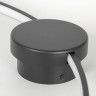 Потолочная люстра Lussole Lowell LSP-7110
