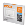 Прожектор WOLTA WFL-100W/06W