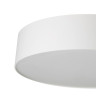 Потолочный светильник Citilux Bart CL755290