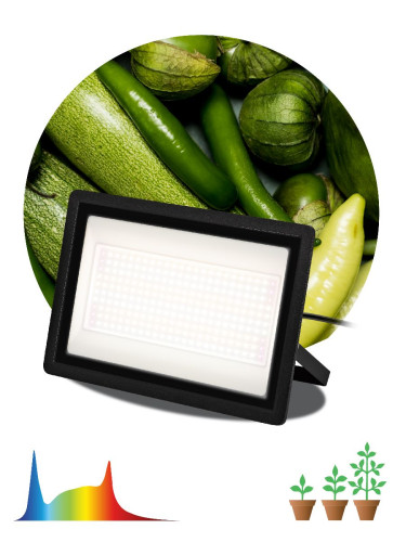 Фитопрожектор Эра FITO-200W-Ra90-LED Б0059879