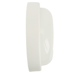 Настенно-потолочный светильник Feron AL3006 48994