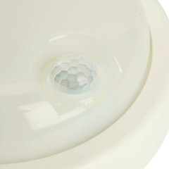 Настенно-потолочный светильник Feron AL3006 48994