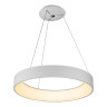 Подвесной светодиодный светильник iLedex North 8288D-600 WH