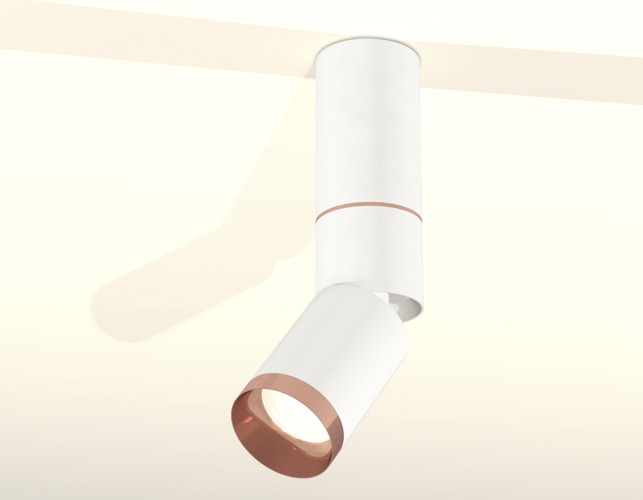 Спот Ambrella Light Techno Spot XM6312145 (C6322, A2063, A2220, C6312, N6135)